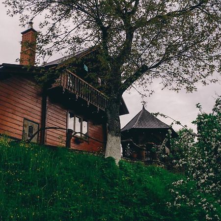 Будиночок В Карпатах Iaremcea Exterior foto