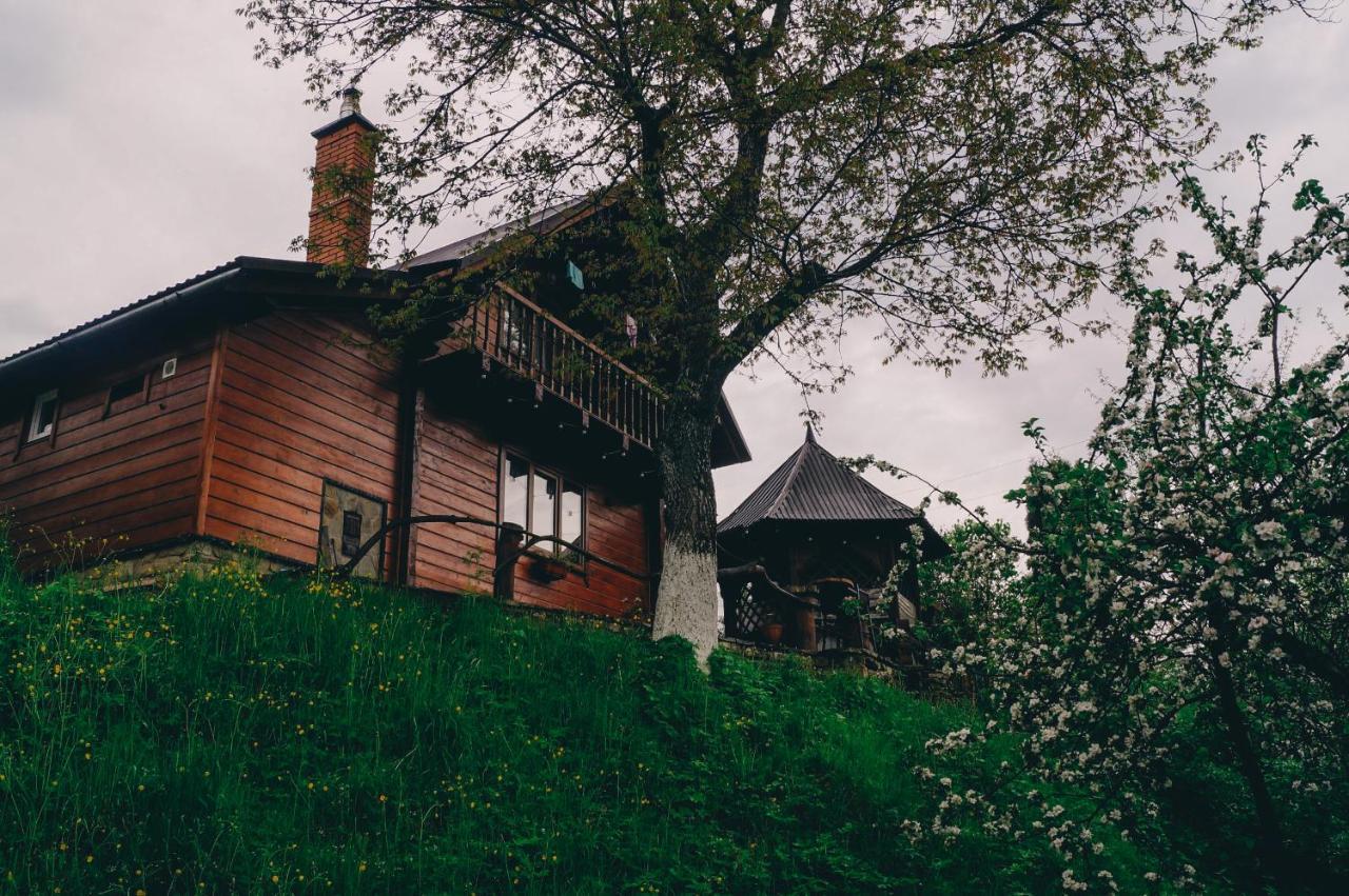 Будиночок В Карпатах Iaremcea Exterior foto