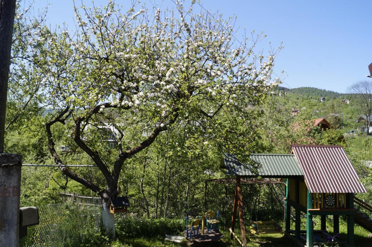 Будиночок В Карпатах Iaremcea Exterior foto